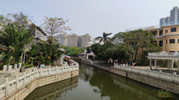 东方都市网2025新年贺词:与您携手迈进2025 东方都市网2025新年贺词:与您携手迈进2025
